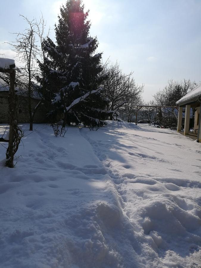 Koppany Lovasudvar Bakonykoppány Exterior photo